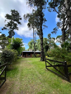 Casa en el bosque de Costa del Este